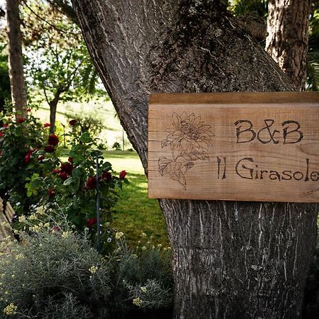 مبيت وإفطار Basciano Il Girasole المظهر الخارجي الصورة