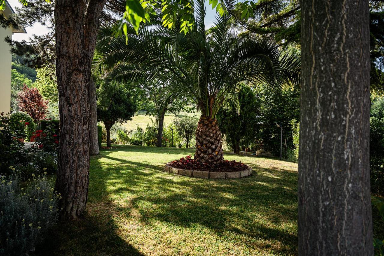 مبيت وإفطار Basciano Il Girasole المظهر الخارجي الصورة