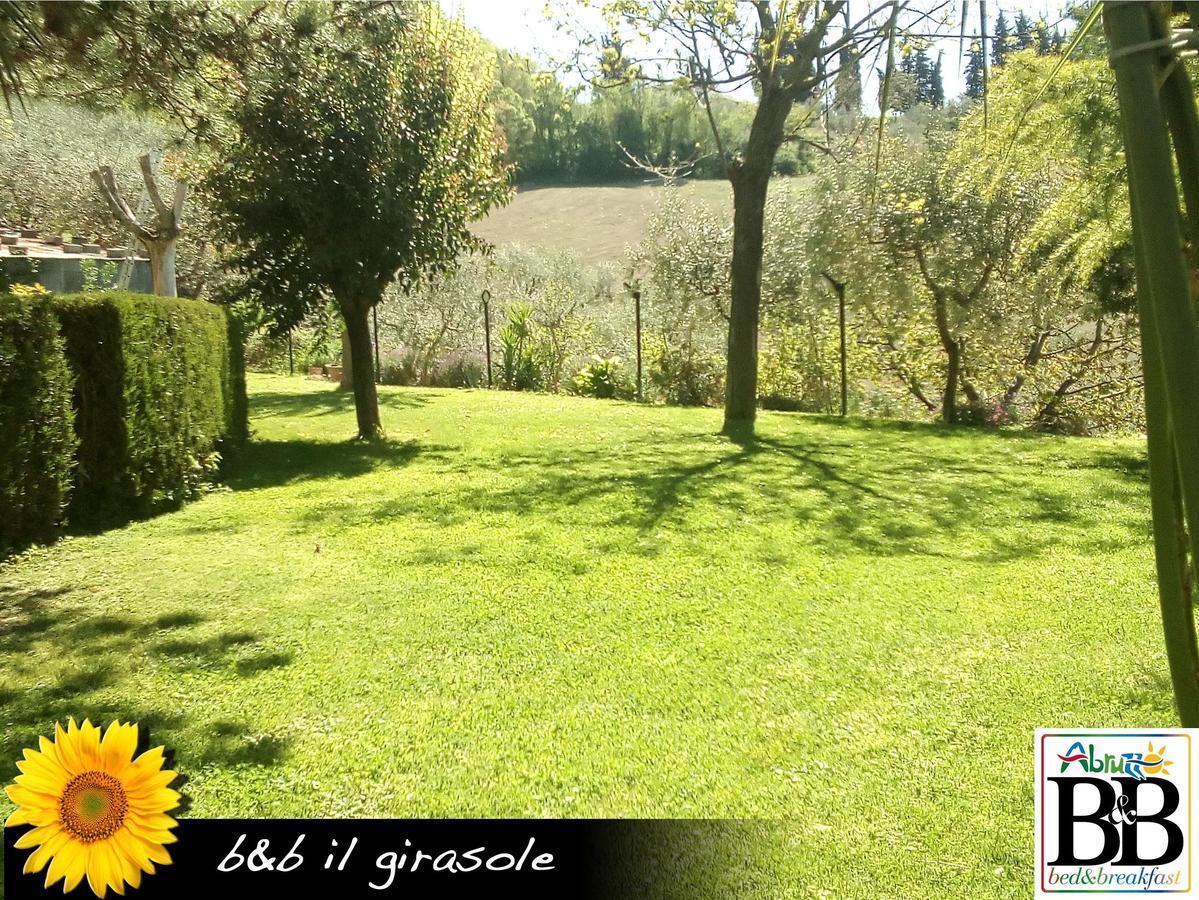 مبيت وإفطار Basciano Il Girasole المظهر الخارجي الصورة