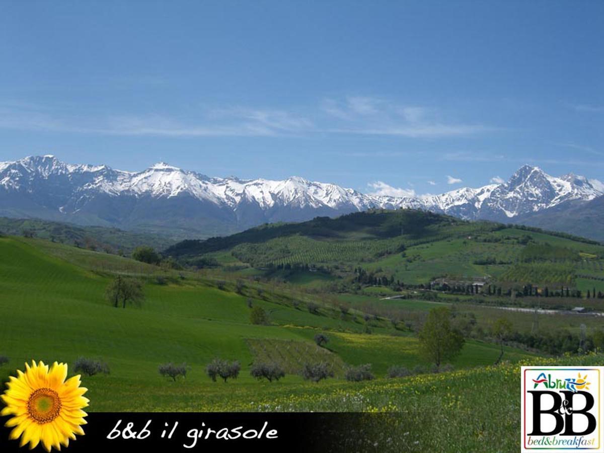 مبيت وإفطار Basciano Il Girasole المظهر الخارجي الصورة