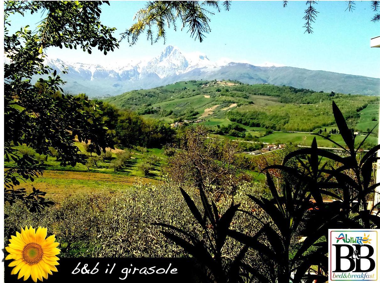 مبيت وإفطار Basciano Il Girasole المظهر الخارجي الصورة