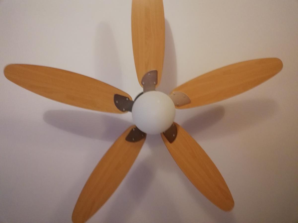 مبيت وإفطار Basciano Il Girasole المظهر الخارجي الصورة